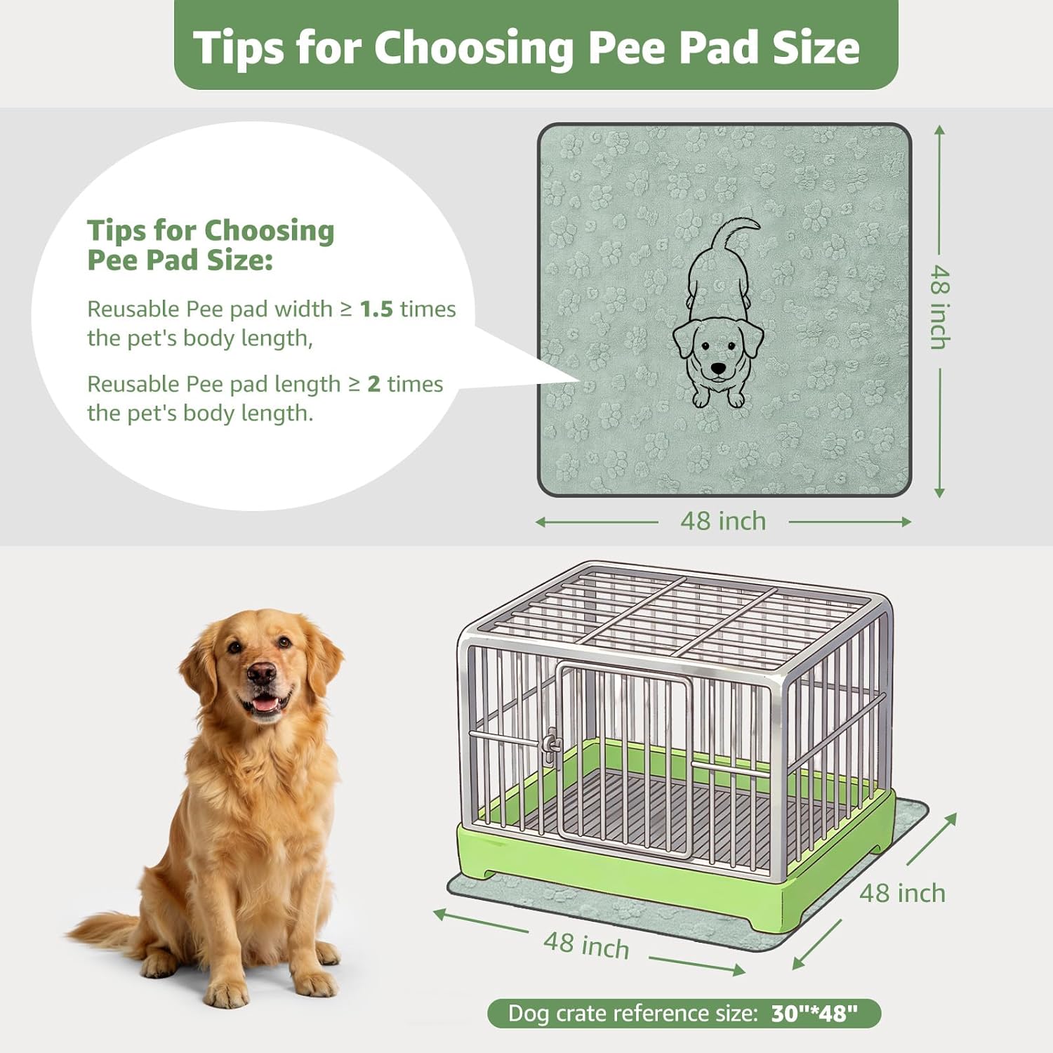 LOOBANI Washable Pee Pads for Dogs: 2 Pack Super Absorbent Reusable Puppy Pads, Leakproof and Waterproof Dog Training Pads Whelping Pads for Potty, Floor, Crate, Couch, Bed and Travel, 48"x48"