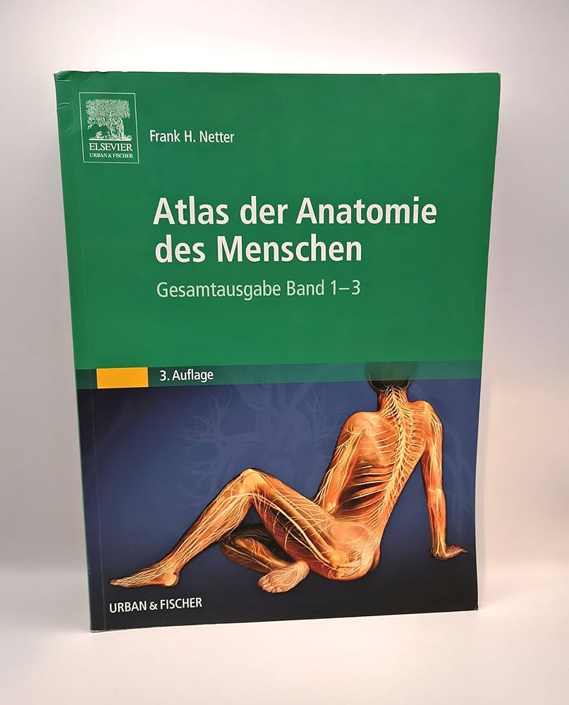Atlas der Klassischen Archäologie LEDartWORKS-Anatomical-Diagram