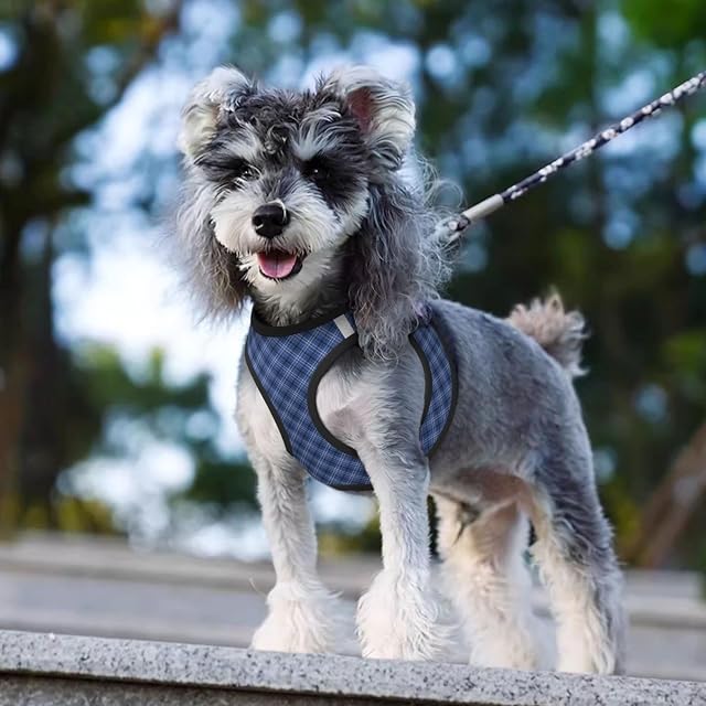 Foto 6 de 6 de Arnés y Correa para Perro con diseño Elegante y escocés Azul, antitirones