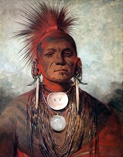 Catlin Medicine Man Nsee-Non-Ty-A An Iowa Medicine Man Painting By George Catlin Poster Print by (18 x 24)