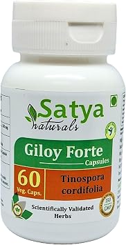 Giloy Forte Capsules 500 mg. 60 Veg. Capsule | Guduchi Tinospora Cordifolia Extract Capsules for Men and Women | Indian Ayurvedic Herbal Supplement/Remedies 1 Bottle of 60 Capsules