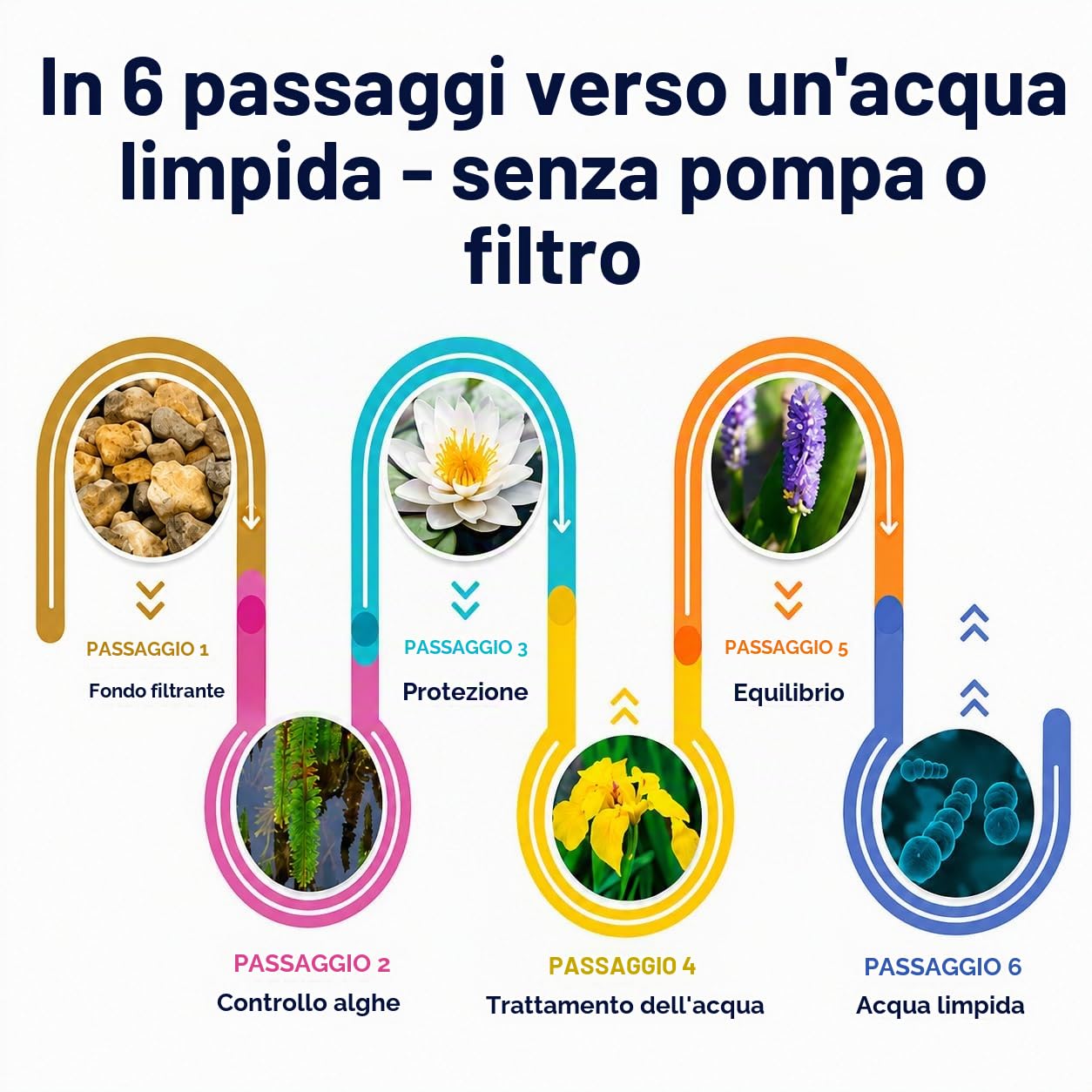 vdvelde.com - Bonsai Terrarium Biodome - Ecoworld giardino in bottiglia con bonsai e mini piante in vetro - piante terrario vetro Ø 25 cm ↥ 28 cm - Mini ecosistema con luce