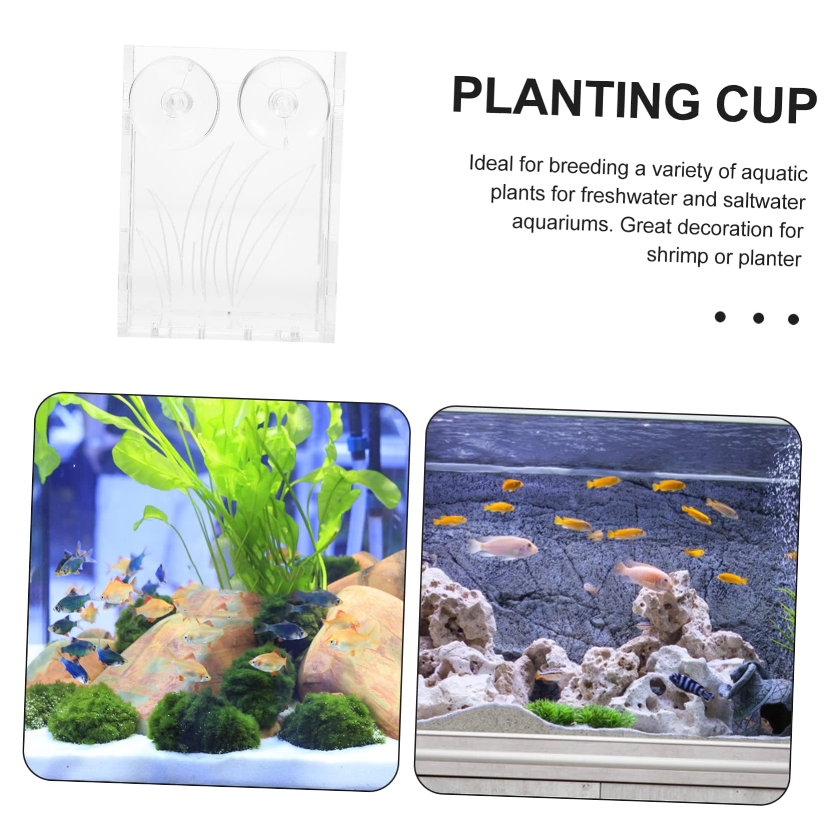 Aquatlantis Biobox Zuignappen, 4 stuks - Onlineshop