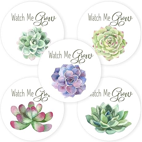 Premium Succulent Favor Labels: Adore Your Next Plant-Themed Party Favors