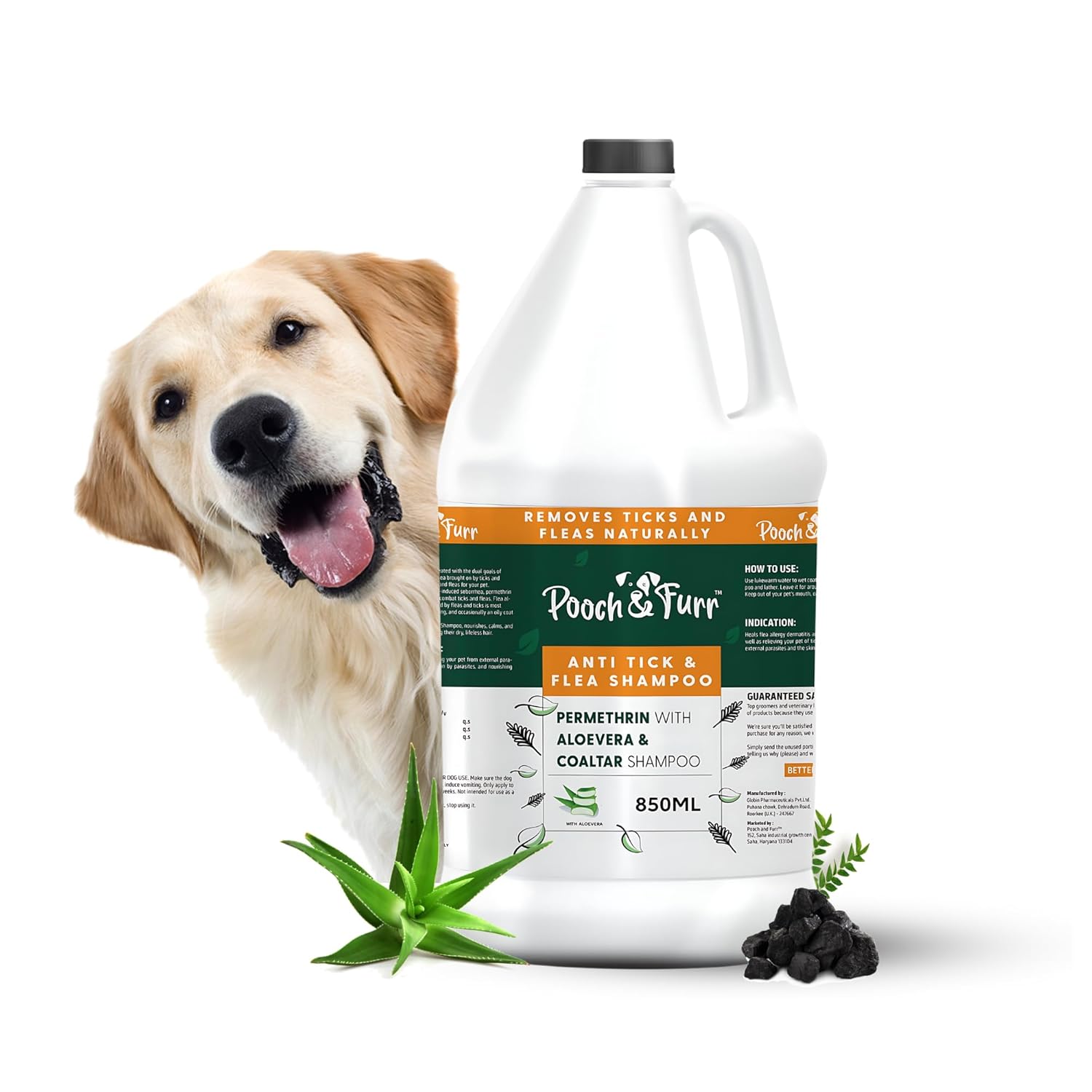 View of 21 Best Homemade Dog Shampoo Recipes | DIY Dog Shampoo