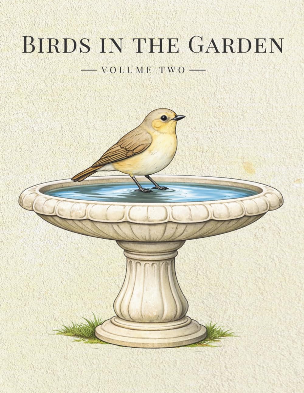 Birds in the Garden: A Garden Bird Coloring Book: Volume 2