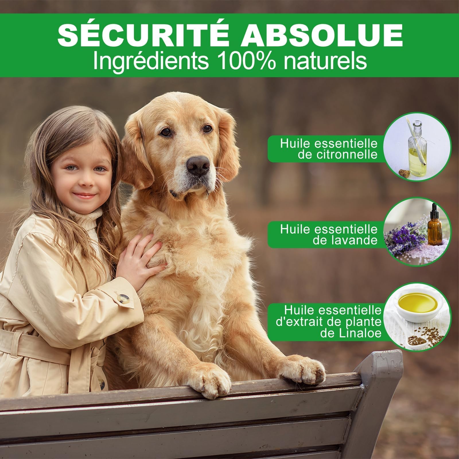 Collier Anti Puces pour Chien, 12 Mois De Protection Efficace, Collier Anti Tique Chien 65cm, Réglable Et Étanche, Convient Aux Chiens De Toutes Tailles