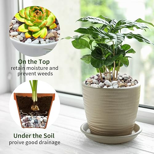 Miniatura 8 de FANTIAN 2 libras de guijarros de grava de guisante de color mixto natural, rocas decorativas de 38 pulgadas para suculentas, guijarros para plantas