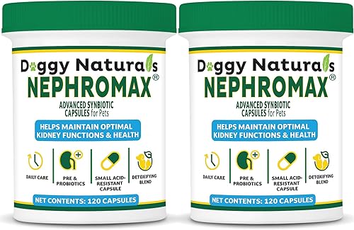 NEPHROMAX Cápsulas Synbiotic Perros Gatos 240