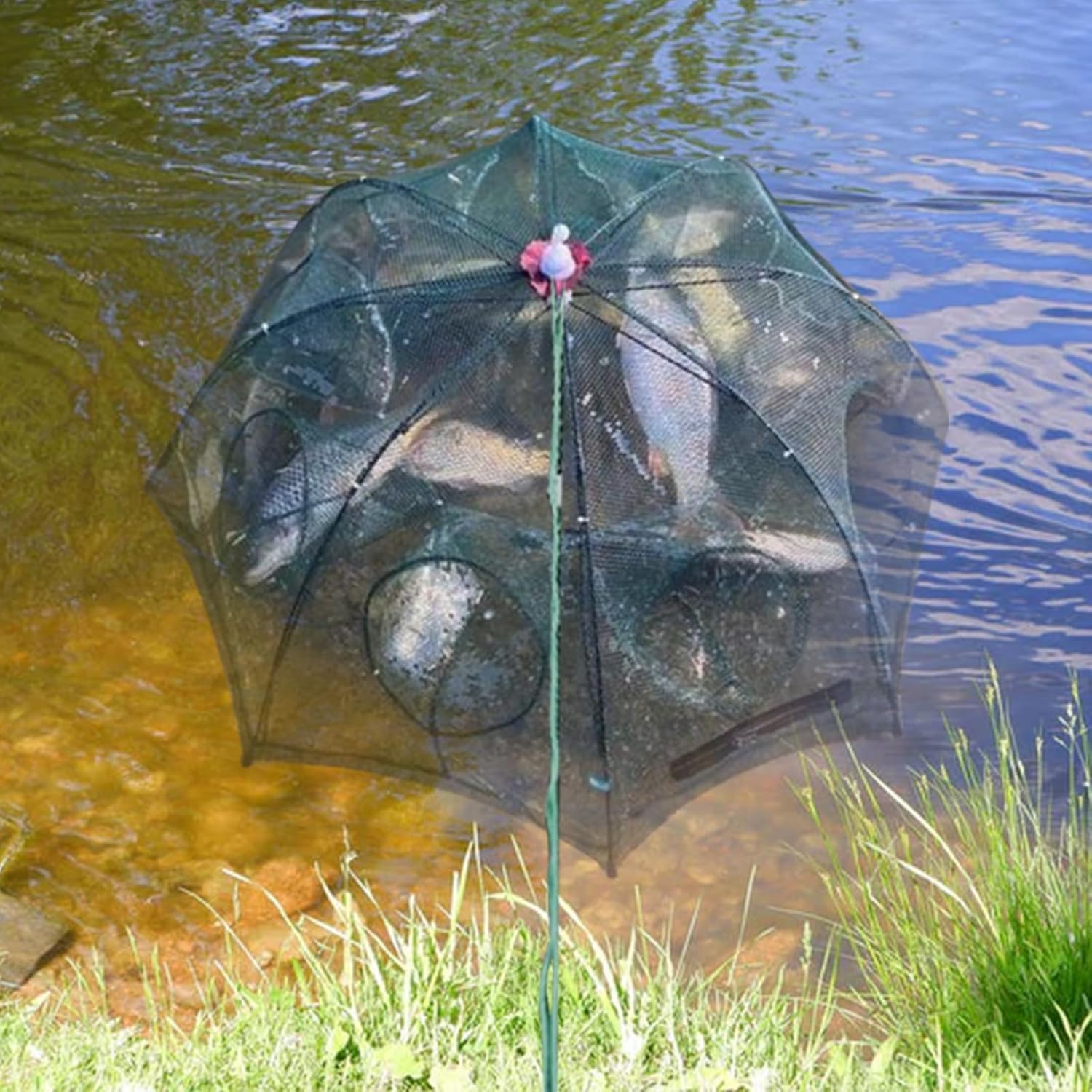 Red de Pesca Plegable Cremallera 6 Agujeros Automática Nailon Trampa Peces Cangrejo