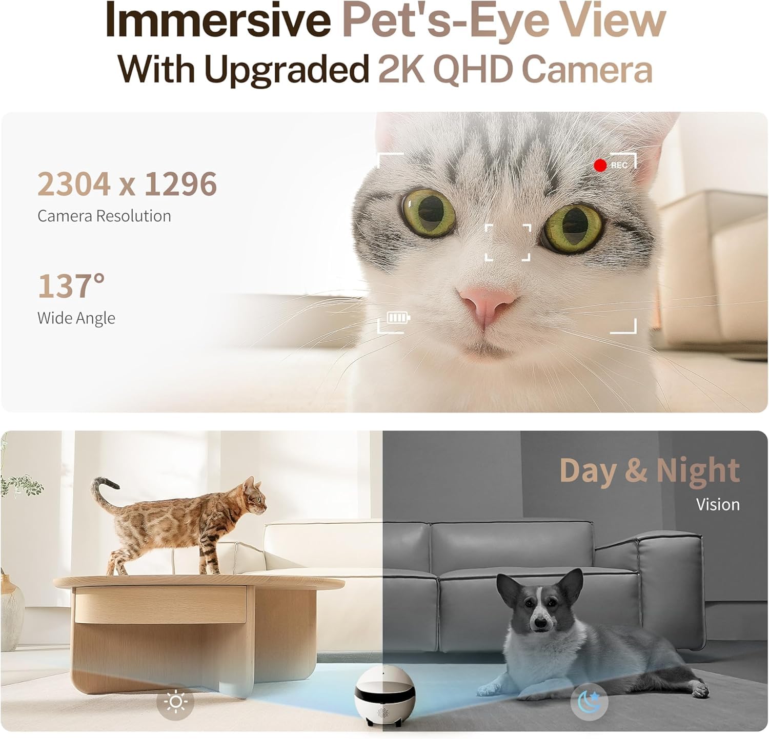 Enabot ROLA - Mini robot divertente per animali domestici