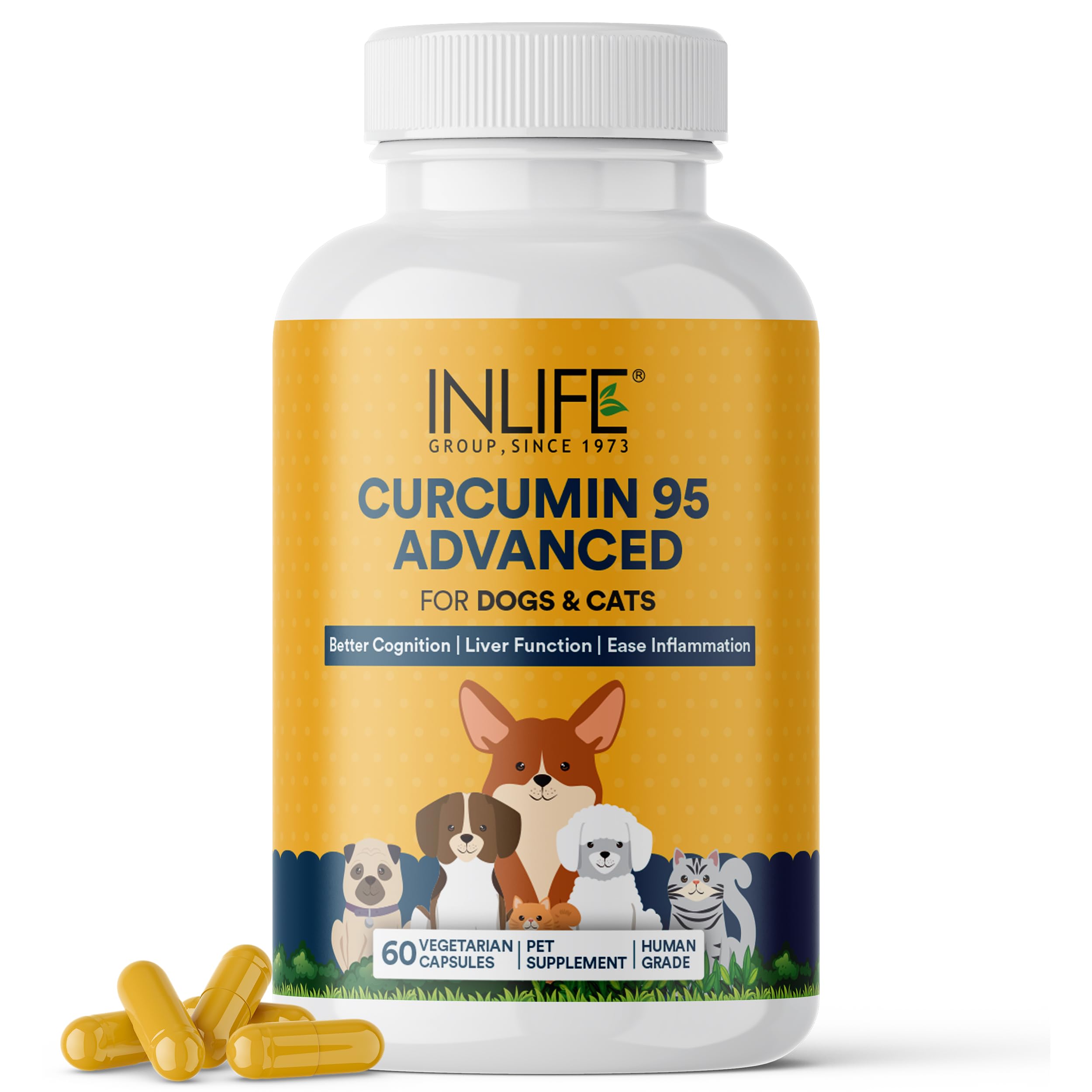 INLIFE Curcumin with Piperine for Dogs Cats and Pets 95% Curcuminoids for Immunity Liver Function and Ease Inflammation- 60 Vegetarian Capsules (B0CRVFV59Z) Amazon Price History, Amazon Price Tracker