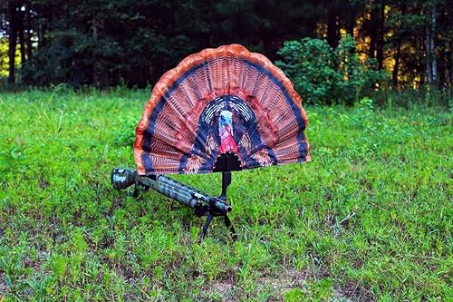 Miniatura 5 de MOJO Outdoors Turkey Hunting Decoys and Accessories