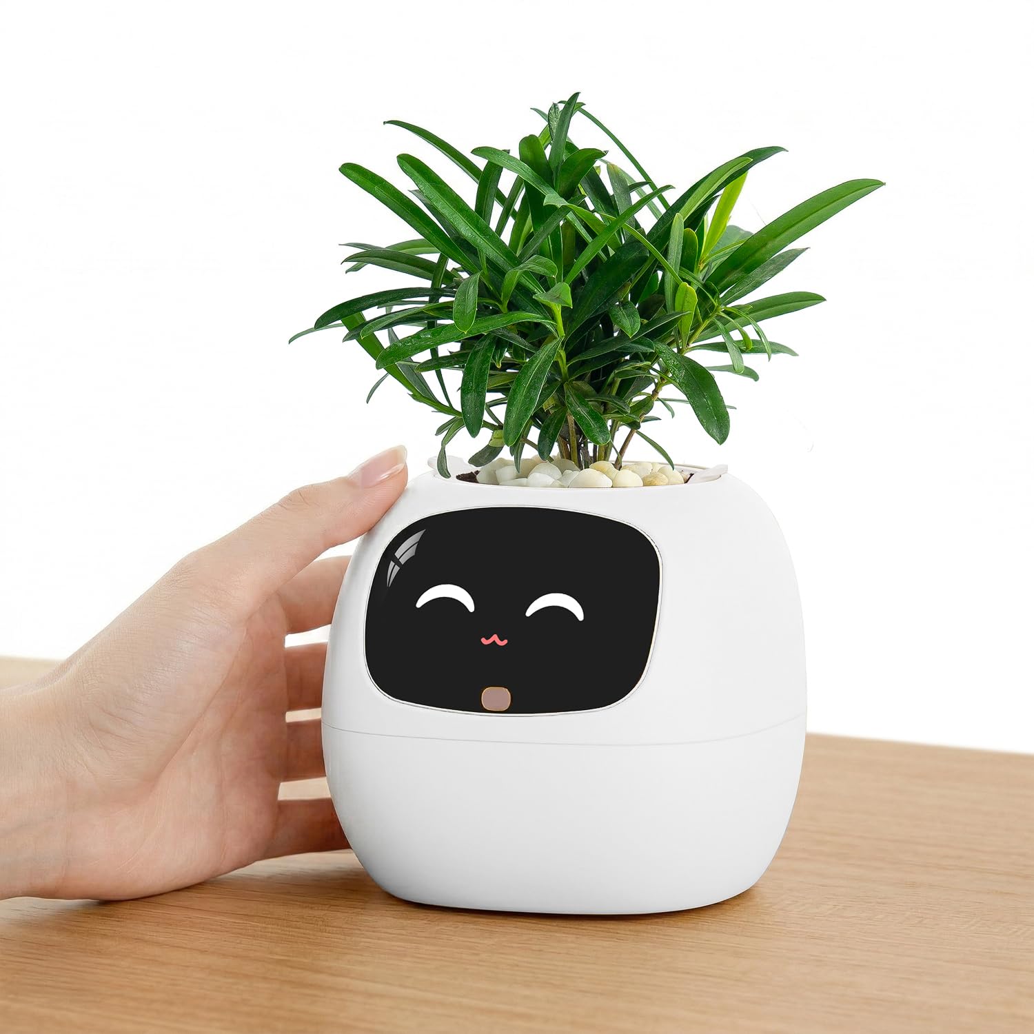 ロボットプランター ホワイト 多脚デザイン Amazon.co.jp: アイビー AI スマート植木鉢 絵文字付き