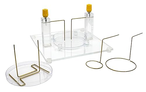 EISCO Electric Field Apparatus - for Demonstrating Electric Field Shapes