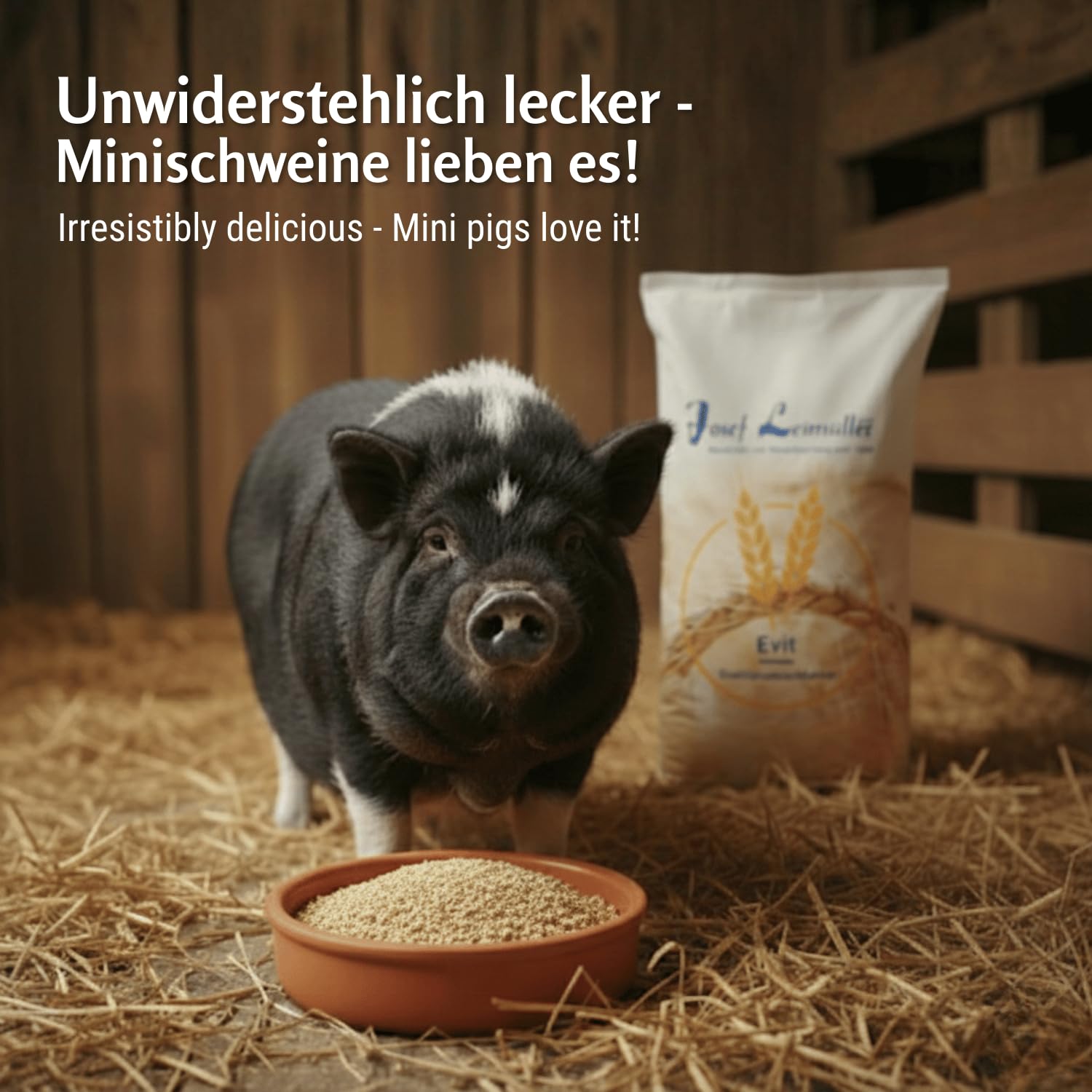 Leimüller Minischweinfutter mehlig 25kg Zwergschweinfutter Zwergschein