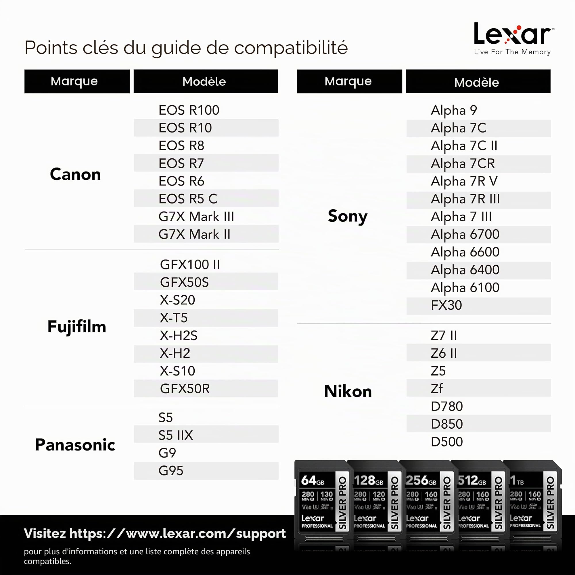 Lexar Silver Pro Lot de 2 Cartes mémoire SD Professionnelles UHS-II, C10, U3, V60, Full HD, 4K, jusqu'à 280 Mo/s de Lecture, pour Photographe Professionnel, vidéaste, passionné (LSDSIPR128G-B2NNU)