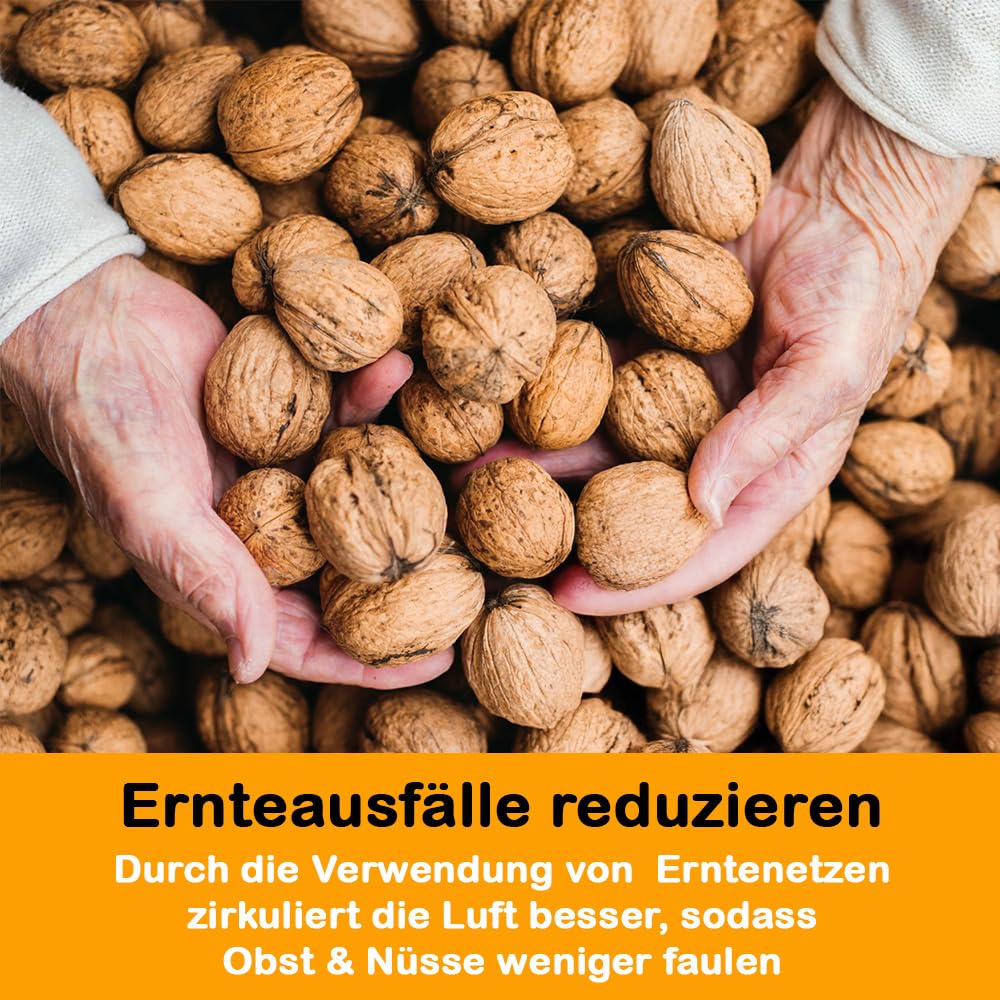 Erntenetz für Obstbäume, 4 x 4 m, Dunkelgrün, wetterfestes Olivennetz, Auffangnetz, Gartennetz, Erntehelfer