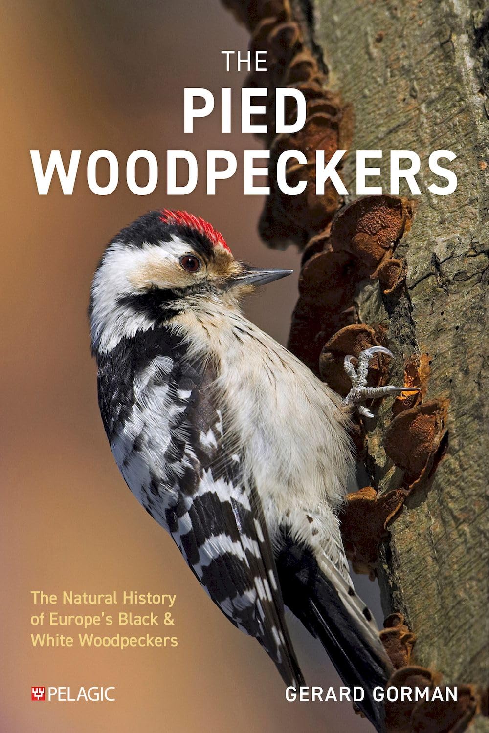The Pied Woodpeckers: The Natural History of Europe’s Black & White Woodpeckers (Pelagic Monographs)      Kindle Edition