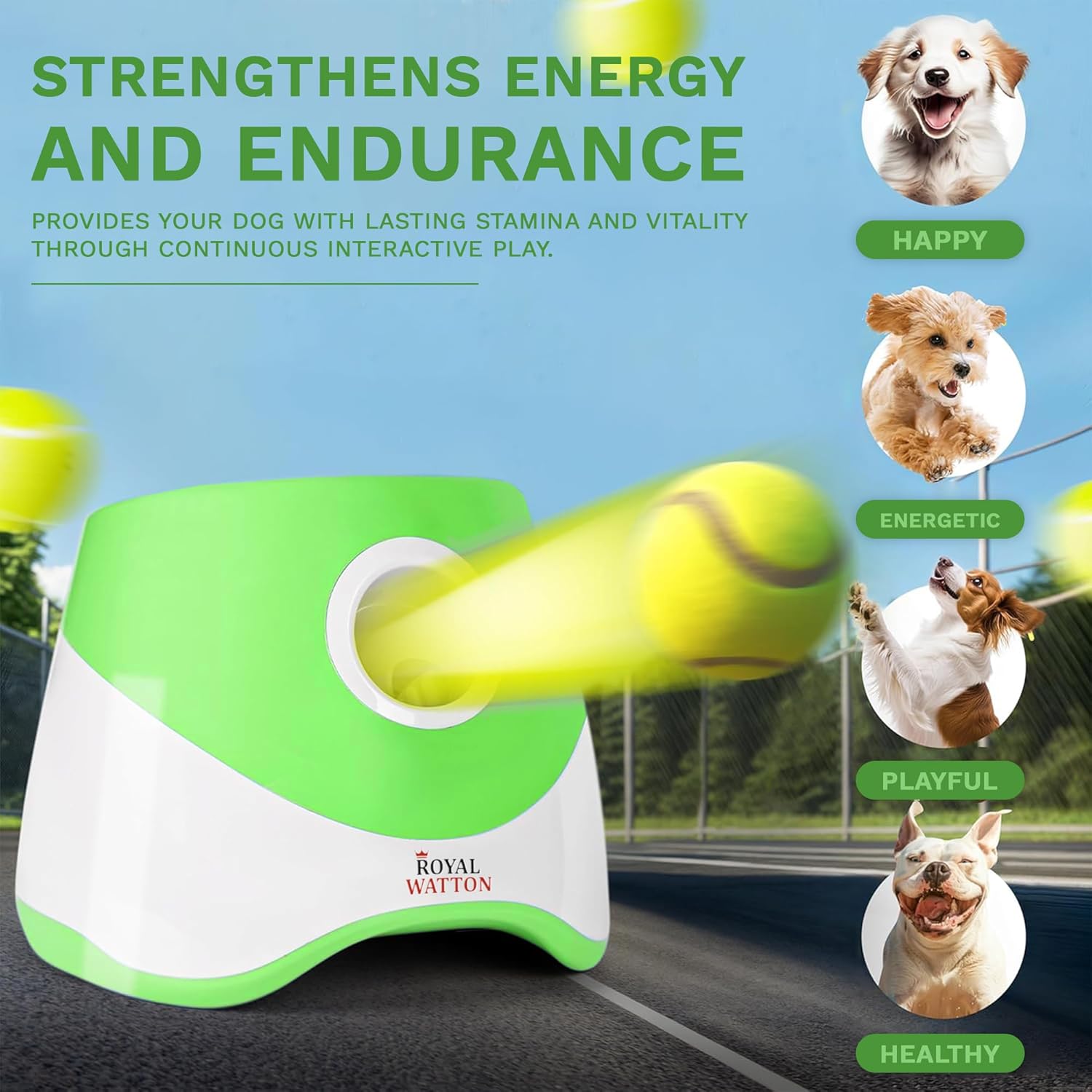 Automatic Ball Launcher for Dogs with 10 Tennis Balls (2 inch), Dog Ball Launcher with 3 Range Modes (10/20/30ft), Rechargeable Dog Balls Thrower for Small-Medium Dogs,Indoor/Outdoor Pet Fetch Machine