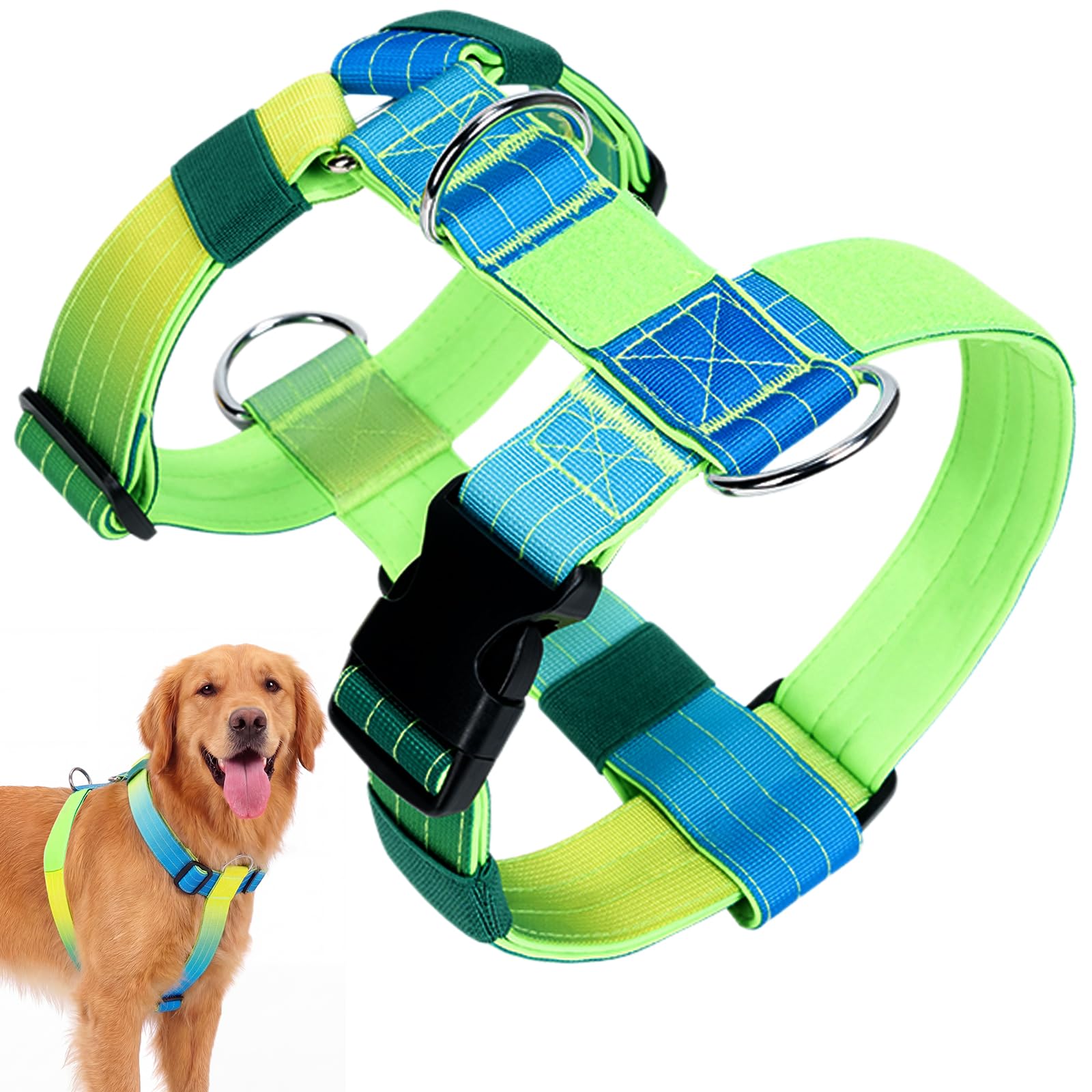 Olcyren No Pull Dog Harness, Adjustable Dog Harness with Front Back Clips, No Choke Anti Pull Dog Harness, Soft Padded Heavy Duty Pet Vest for Medium Large Dogs Training Walking (Gradient Green, M)