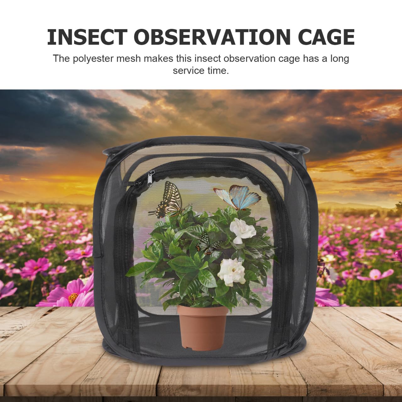 BESPORTBLE Faltbarer Insektenkäfig Für Außenbeobachtungen Atmungsaktiver Schmetterlingskäfig Für Insekten Habitat Und Beobachtung Transparentes Design Optimale