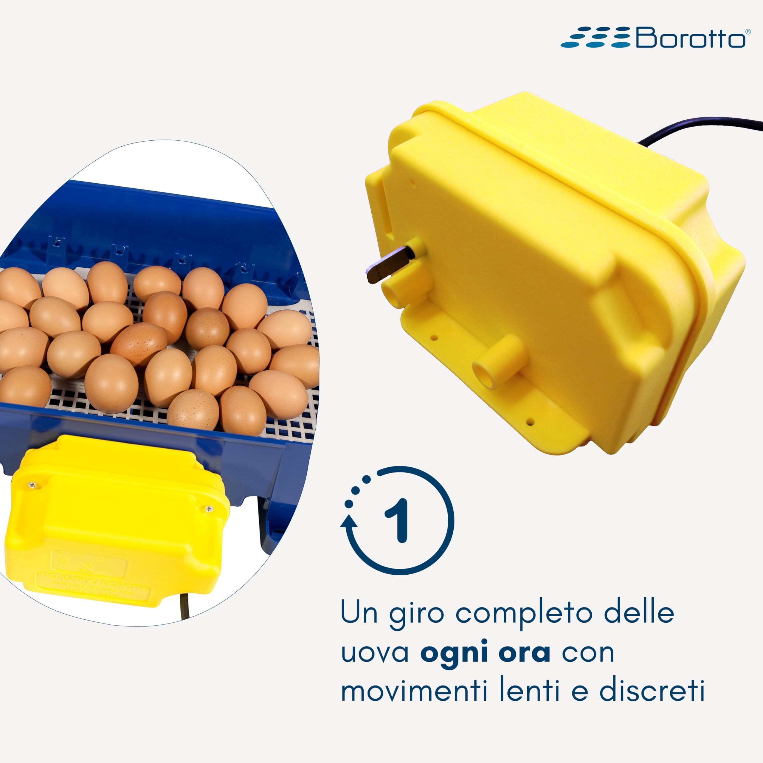 Gira Uova Real Borotto | Made in Italy