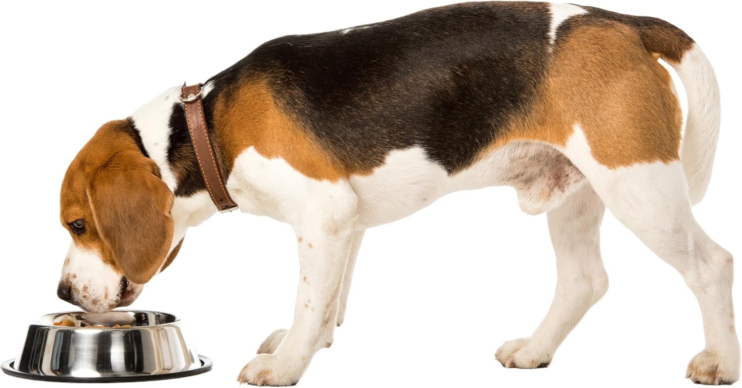 Ethical 64-Ounce No-Tip Stainless Dish