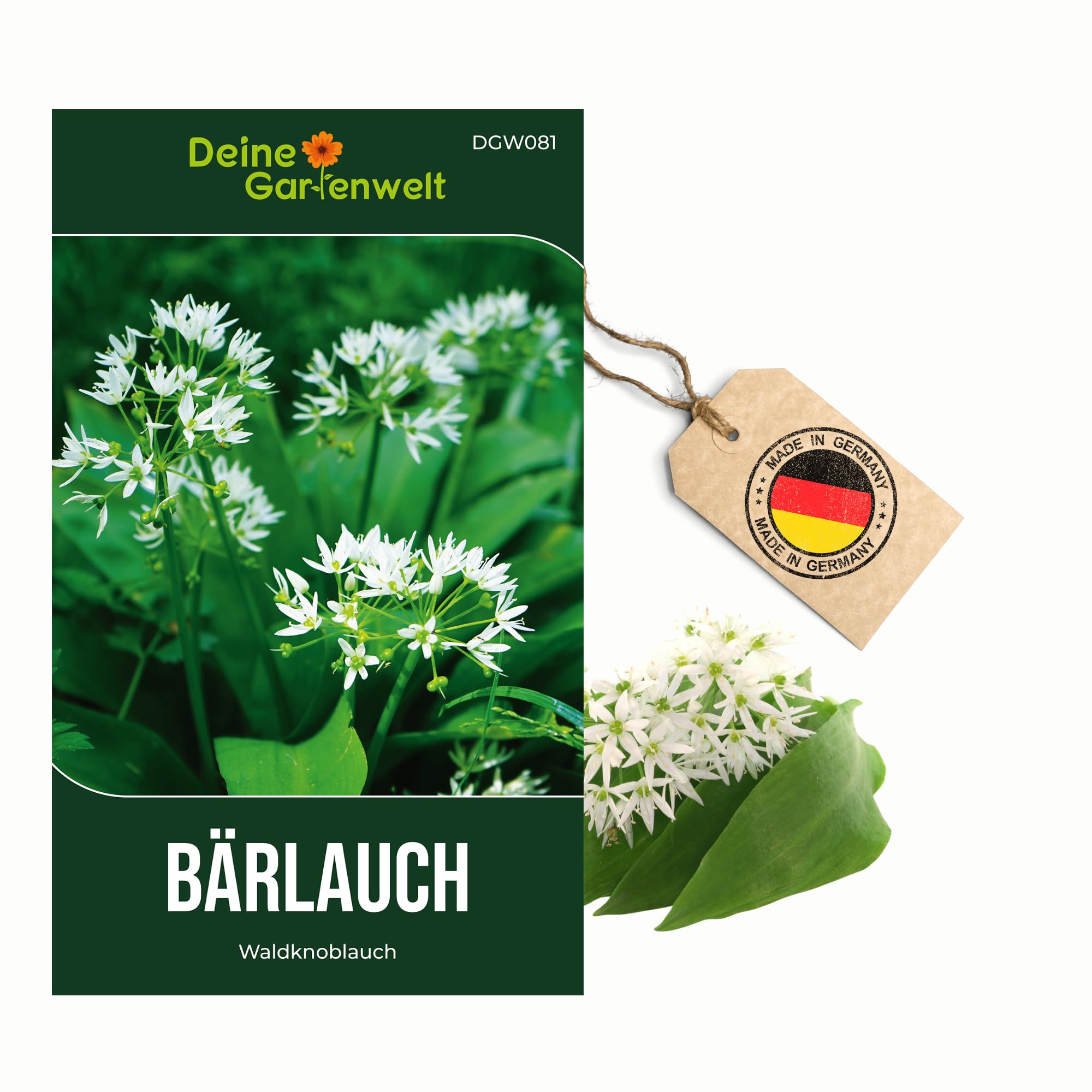 Bärlauch Waldknoblauch Samen - Allium ursinum - Bärlauchsamen - Kräutersamen - Saatgut für 20 Pflanzen