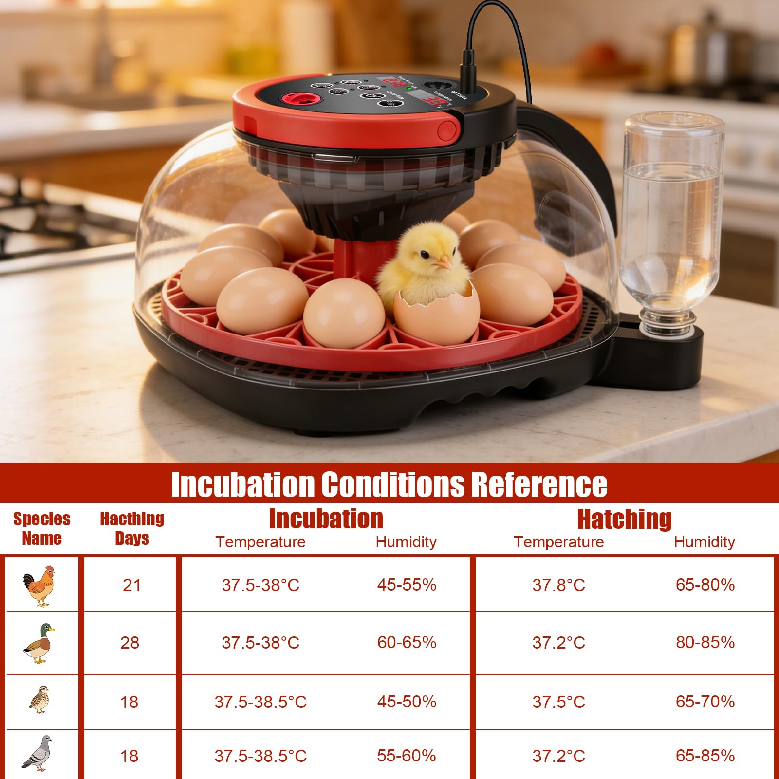 Incubadora totalmente automática de 12 huevos, incubadora con cámara HD 1080, control remoto mediante app inteligente, Control de Temperatura y Automático de Humedad, Volteo Automático de Huevos | Incubadora de pollos con control de temperatura y humedad,