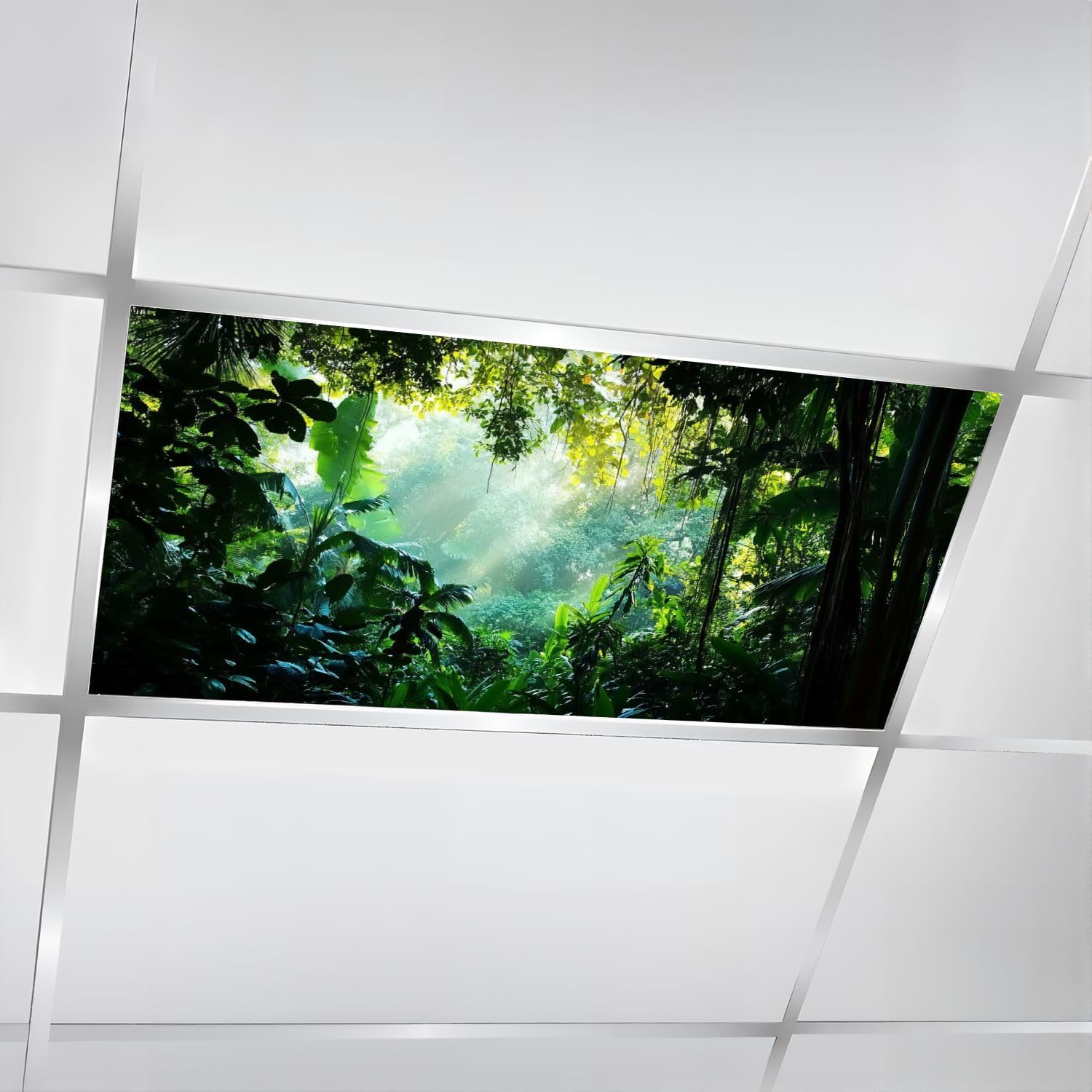 6 Pcs Fluorescent Light Covers for Ceiling Lights Tropical Trees Sunlight Jungle Decorative Magnetic Classroom Light Filters 4x2 ft for Office Hospitals Home