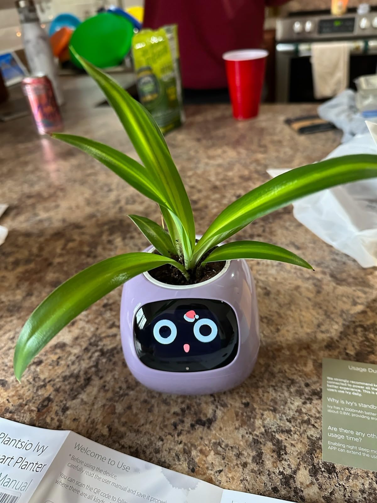Plantagotchi - AI Smart Planter photo review