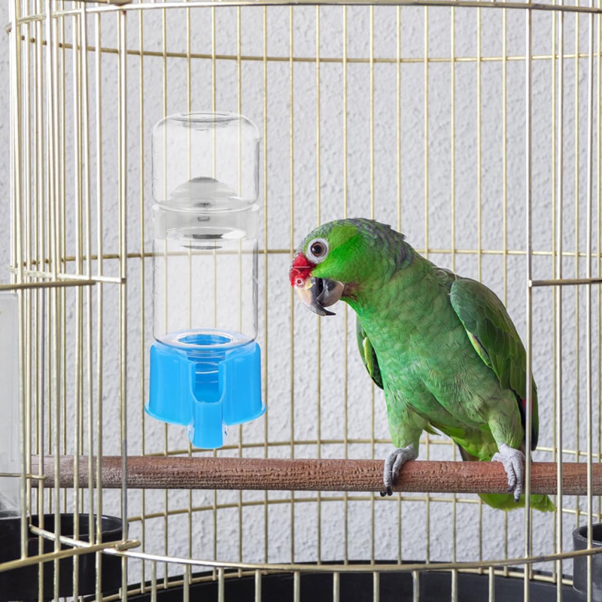 SUPVOX 3pcs Automatic Bird Water Bottle Large Capacity, Multifunctional Design Plastic and Metal Bird Drinking Accessory for Parakeet Cage Water Feeder in Bird Supplies