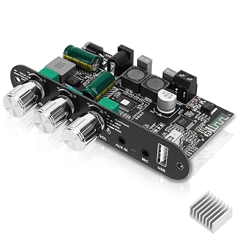 ZK-1001UM Power Amplifier Bluetooth Board with Karaoke Microphone Reverb Mono 100W Audio Amplifier Power Amplifier Board TWS Outdoor Speaker TPA3116D2 with Heat Sink for DIY Speaker Kit
