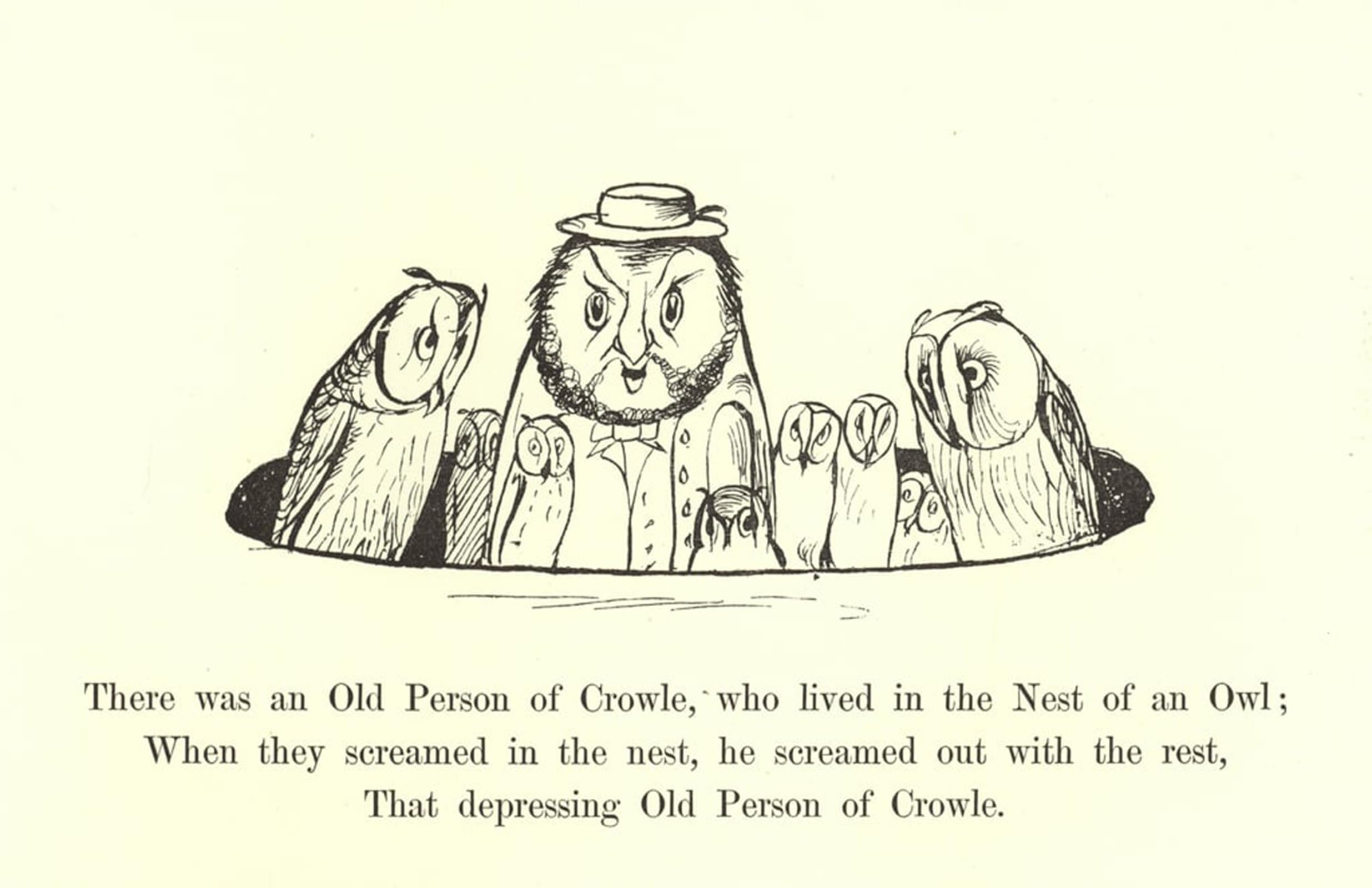 SERENDIPITP Vintage Wall Art Canvas Nordic Poster Canvas Print Picture There Was an Old Person Crowle Who Lived in the Nest an Owl by Edward Leaars Wall Art Poster for Home Decor 60x90cm