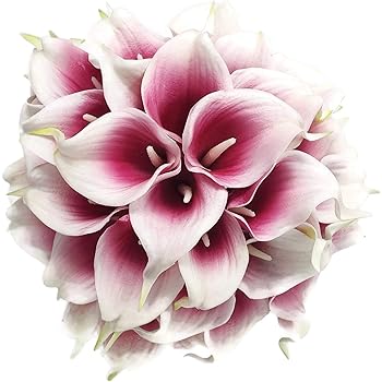 Amazon Com Meide Group Usa 14 Real Touch Latex Picasso Calla Lily Bunch Artificial Spring Flowers For Home Decor Wedding Bouquets And Centerpieces 18 Pcs Mauve White Home Kitchen