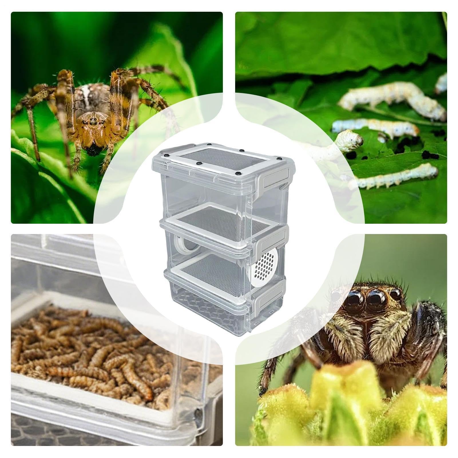 Scatola per allevamento di vermi della farina, set di contenitori stabili con pinzette, serbatoio per piccoli animali, rettili, lucertole, tartarughe, cortile, aule, progetti scientifici, campeggio