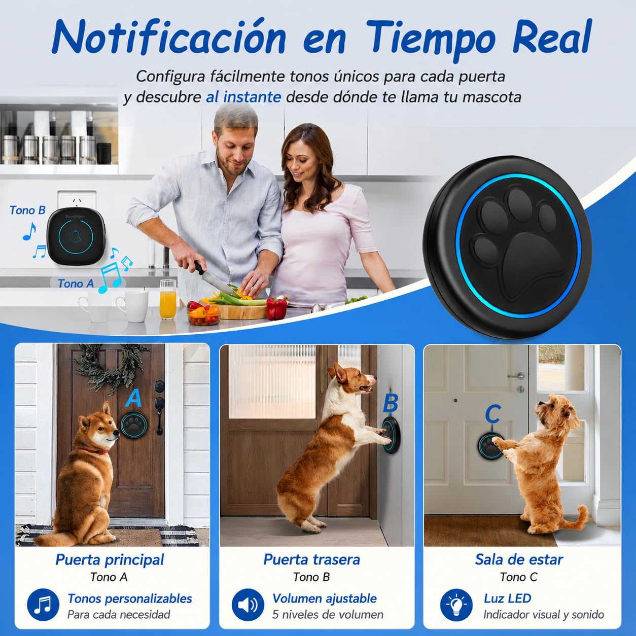 A6 BK Timbre para Perro para Salir al Exterior Inalámbrico 300 m – Timbre de Entrenamiento con LED, 60 Melodías, Impermeable para Educación Canina (1 Campana y 1 Receptor)