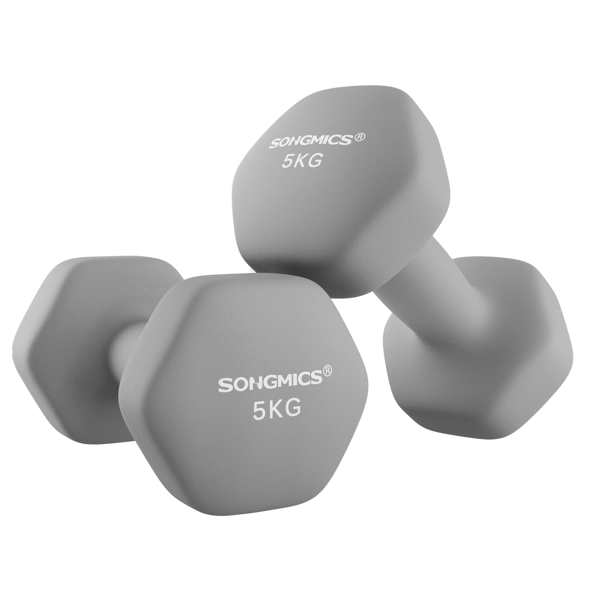 SONGMICS Halters, set van 2, korte halters met matte coating van
