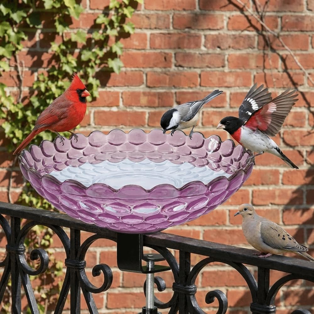 Baño para pájaros para barandilla de balcón, comedero de plástico portátil con abrazadera, cuenco de agua al aire libre para jardín, patio, terraza, ideal para pájaros pequeños