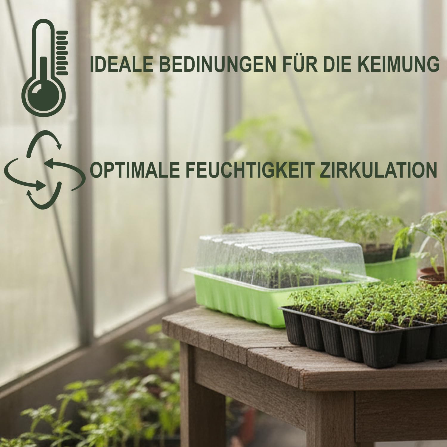COM-FOUR® 4x Mini szklarnia wewnetrzna z pokrywka, zestaw do uprawy z 96 | sadzarka do warzyw - ziól i kwiatów - skrzynka do kielkowania na parapet i balkon