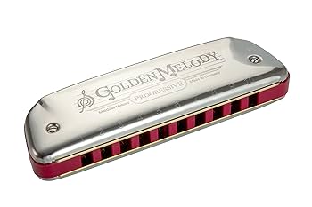 Amazon.com: Hohner Golden Melody Progressive Harmonica, Key