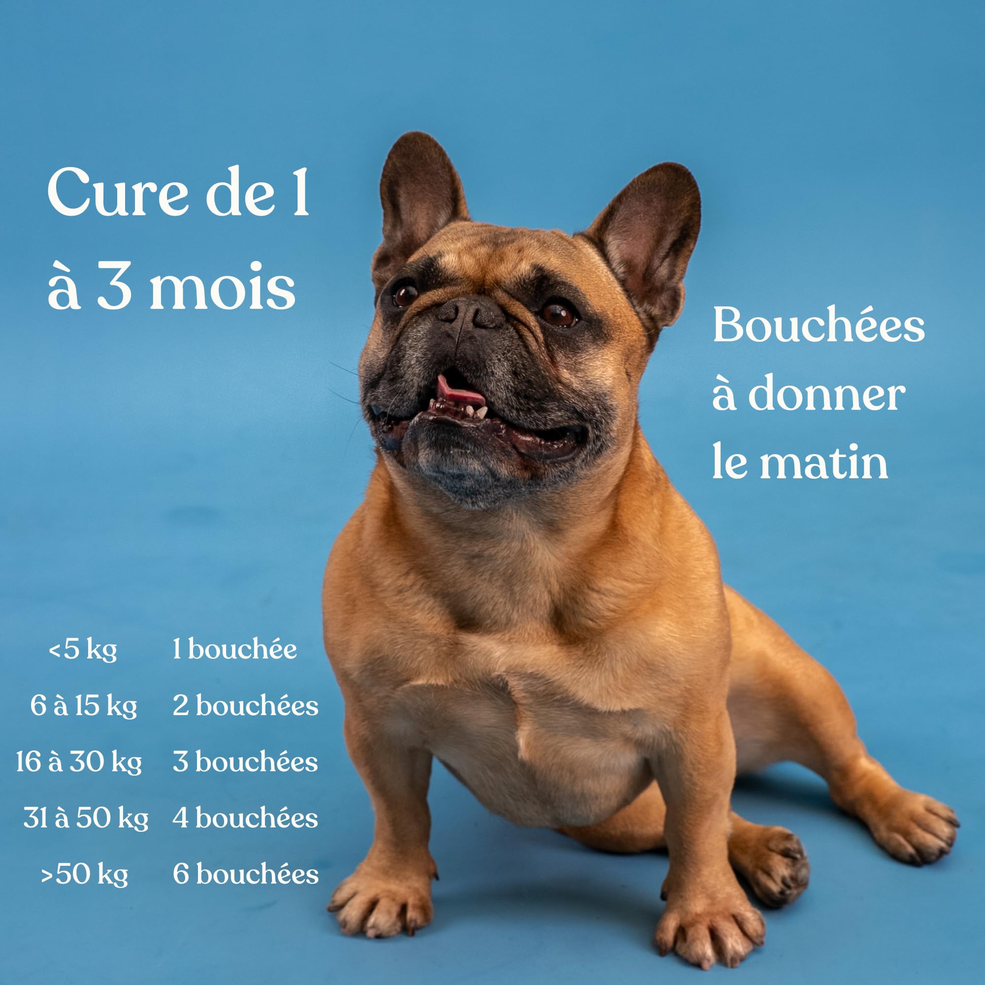 Arthrose Chien - 60 bouchées - 11 Actifs puissants (Glucosamine Chondroïtine, MSM, Moule Verte, harpagophytum) - Anti inflammatoire - Complement Alimentaire Chien - Nouveau Format