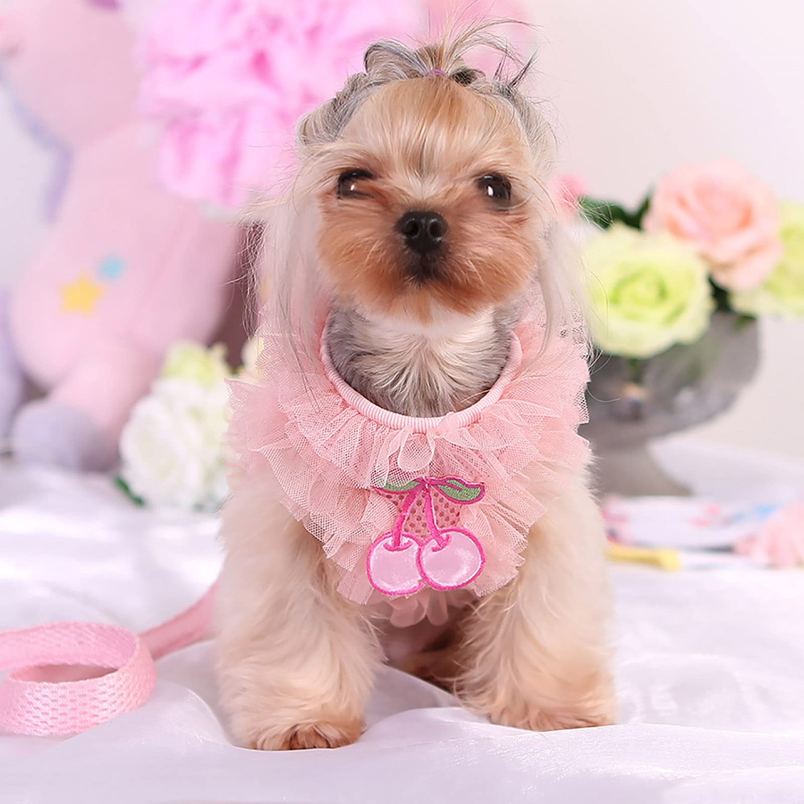 PURRL Haustierleine Cartoon Hundeleine Hundezubehör, Hundegeschirr Spitze Rüschensaum Atmungsaktives Haustierzubehör Multifunktionales Zugseil für Welpen Blau XL Little Surprise