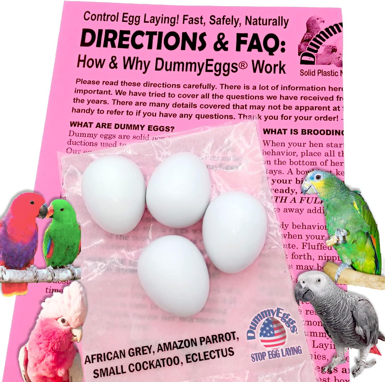 Medium Parrot Dummy Plastic Eggs Control Laying (4)! 1.5" x 1.25" (3.7 x 3cm) Non-Toxic Solid Plastic Fake Dummy Bird Eggs African Grey, Eclectus, Azn, Small Cockatoo or Macaw. Ship Fast!