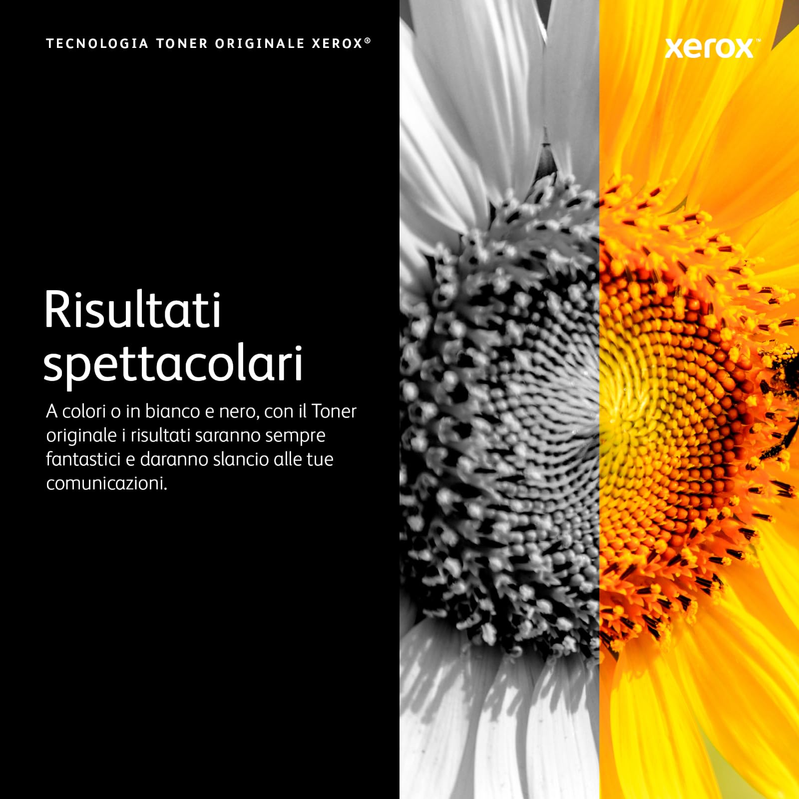 Xerox Genuine Phaser 7500 Ciano, Cartuccia Toner Capacità Standard (9,600 Pagine) - 106R01433