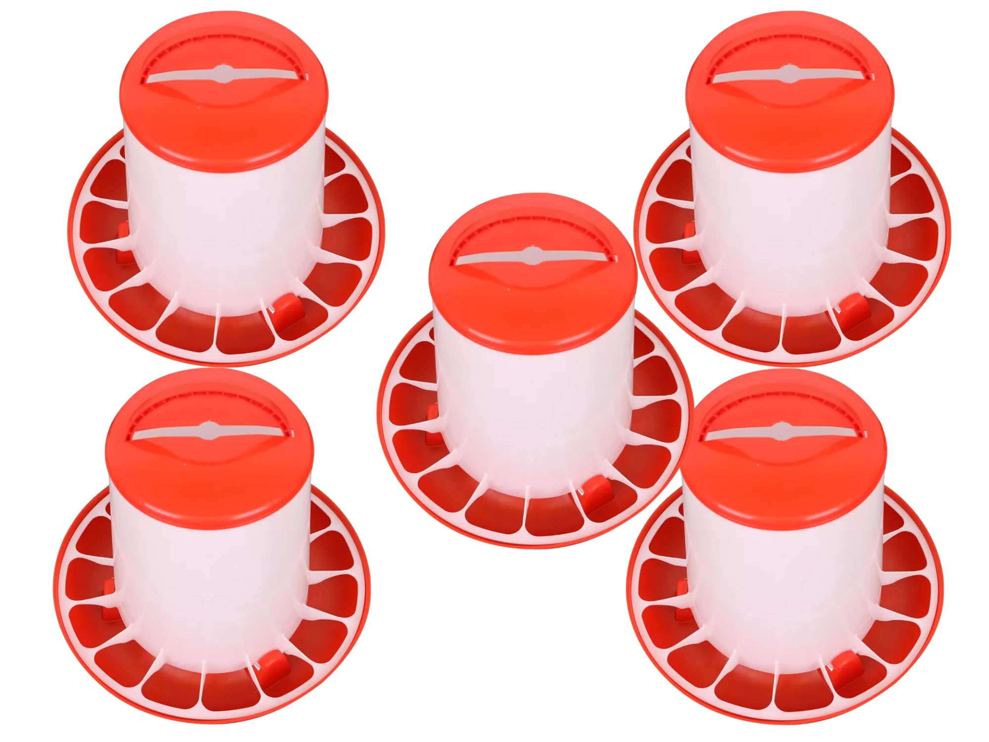 Poultry Feeder and Drinker for Chicken, Quail, Duck, and Other All Type Birds (1.5 Kg Feeder 5 pcs)-image-12