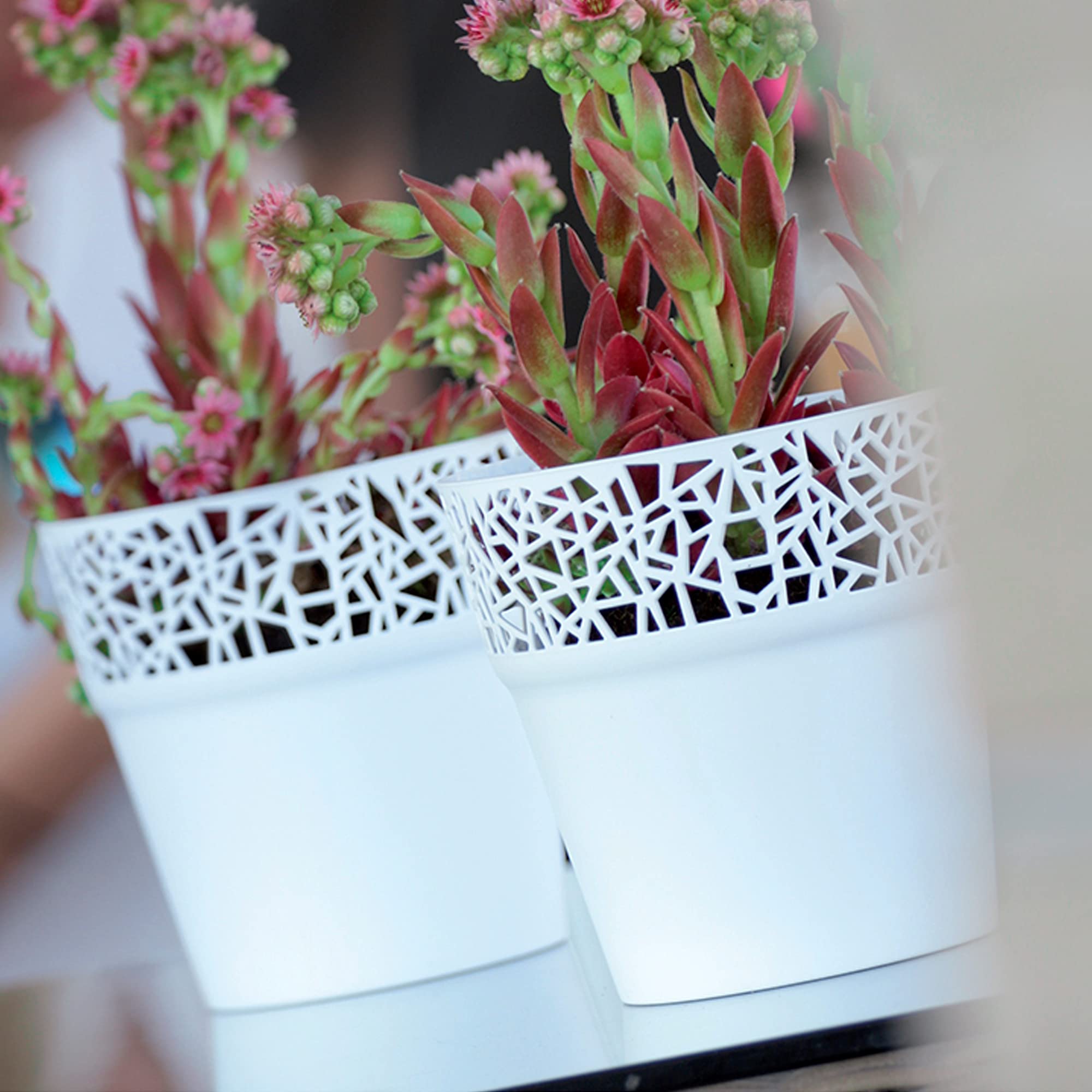 WELLHOME 2 x Tree Plastic Plant Pot in Ice Grey 17.5 (L) x 17.5 (W) x 17.9 (H) cm, Grande - Image 4