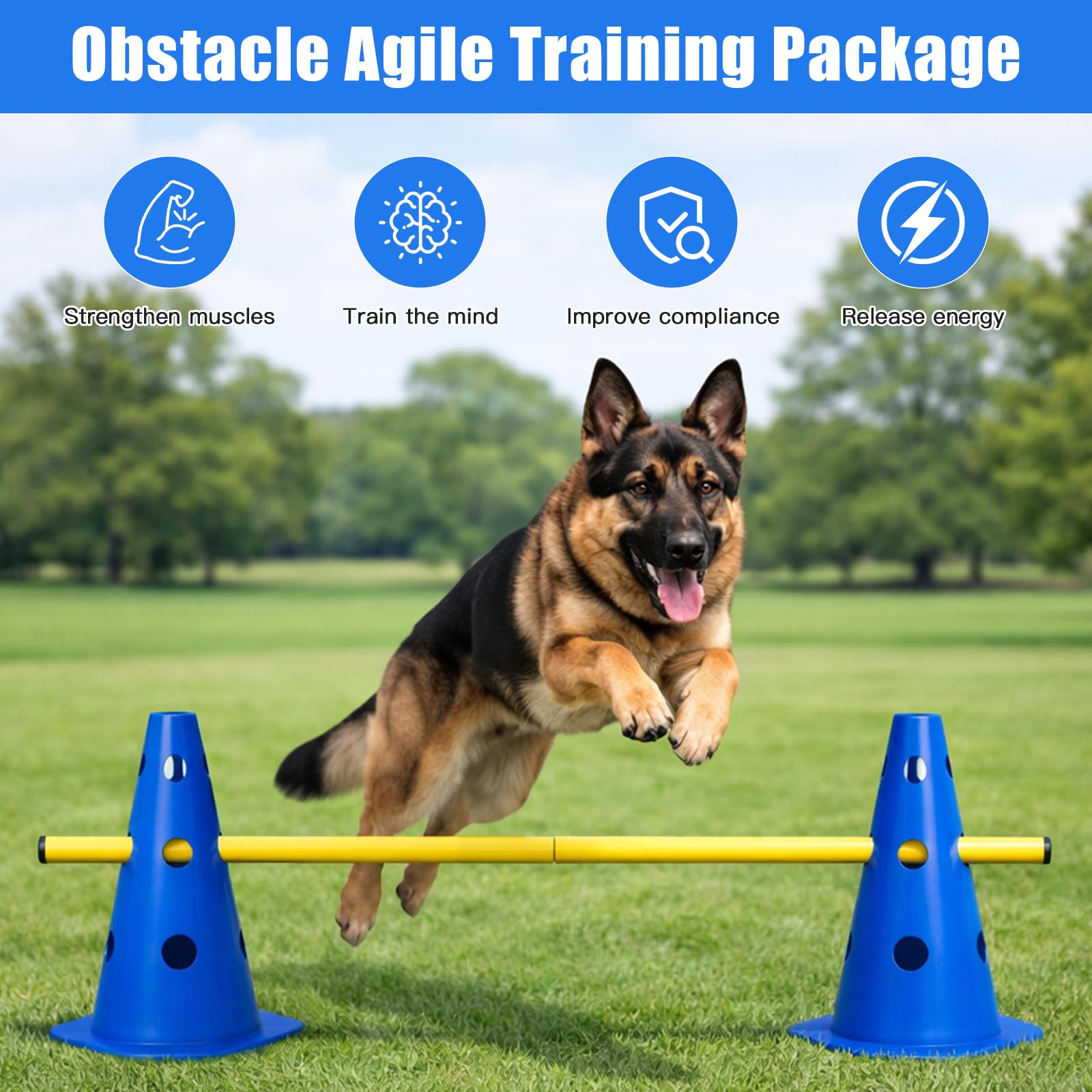 Agility Set Hunde, Agility Trainingsgerät Sports Cavaletti Hunde Steckhürdenset, Kegel Trainingshürden Einstellbar 10 Kegel + 5 Stangen, Agility Hürden Steckhürden (B)