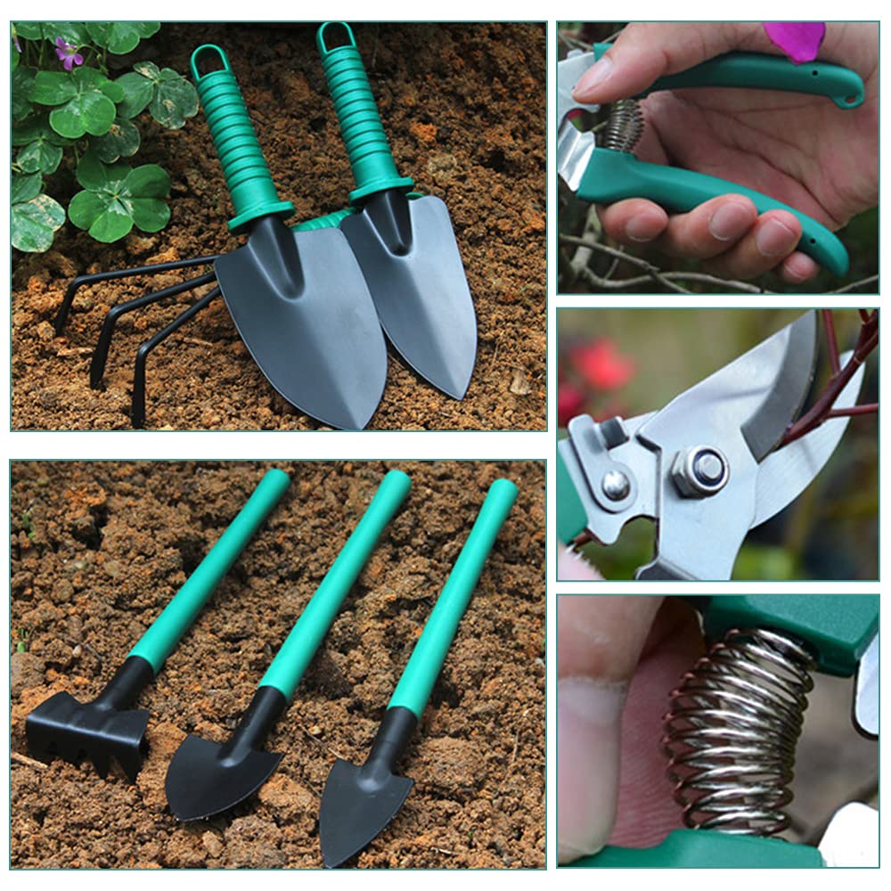 Set di attrezzi da giardino da 10 pezzi in acciaio inox con valigetta organizer, set da giardinaggio ad alte prestazioni con cesoie da giardino, rastrello, pala grande e piccola, spruzzatore, forbici